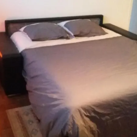 Near Bibliotheque, Nice Appart 64 M2, 3 דירה