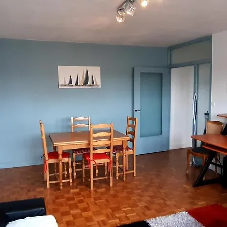 Near Bibliotheque, Nice Appart 64 M2, 3 דירה